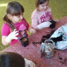 173834737_1812922245555211_1899020076344233728_n