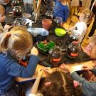 rybki_warsztaty_las2