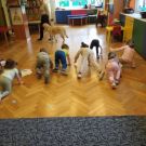 rybki_dogoterapia2_3