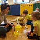 rybki_dogoterapia2_2