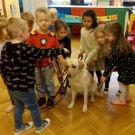 1-IMG_20220128_095133