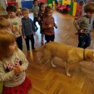 1-IMG_20220228_102253