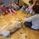 IMG_20220429_094156_1