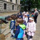 1-IMG_20220518_105818