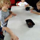 1-IMG_20220608_091448