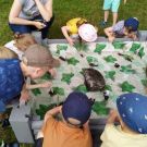 1-IMG_20220608_094423