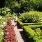 1-IMG_20220624_103243