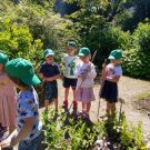 1-IMG_20220624_101503