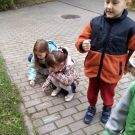 1-IMG_20221004_102204