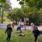 1-IMG_20221004_104318