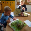 1-IMG_20221011_135203