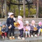 1-IMG_20221025_113042