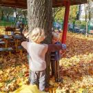 1-IMG_20221017_113730