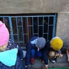 1-IMG_20221108_120428