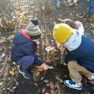 1-IMG_20221108_113148